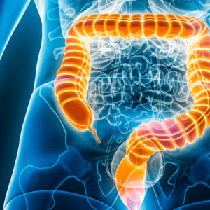 Illustration of a human digestive system features the colon in orange against a blue-toned transparent body, showcasing the product "Consectetur.